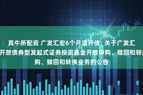 真牛所配资 广发汇宏6个月定开债: 关于广发汇宏6个月定期开放债券型发起式证券投资基金开放申购、赎回和转换业务的公告