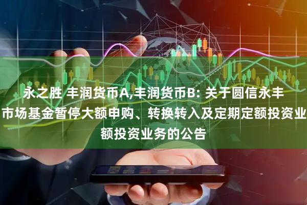 永之胜 丰润货币A,丰润货币B: 关于圆信永丰丰润货币市场基金暂停大额申购、转换转入及定期定额投资业务的公告