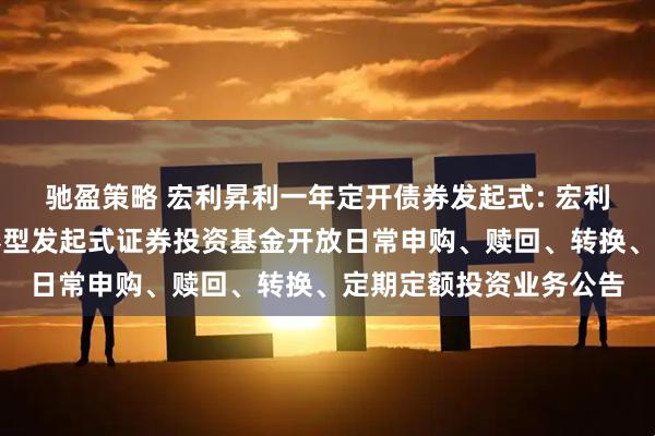 驰盈策略 宏利昇利一年定开债券发起式: 宏利昇利一年定期开放债券型发起式证券投资基金开放日常申购、赎回、转换、定期定额投资业务公告
