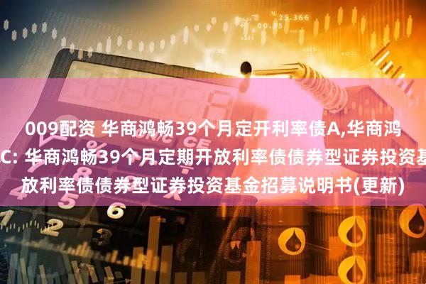 009配资 华商鸿畅39个月定开利率债A,华商鸿畅39个月定开利率债C: 华商鸿畅39个月定期开放利率债债券型证券投资基金招募说明书(更新)
