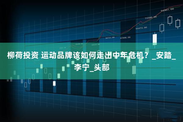 柳荷投资 运动品牌该如何走出中年危机？_安踏_李宁_头部