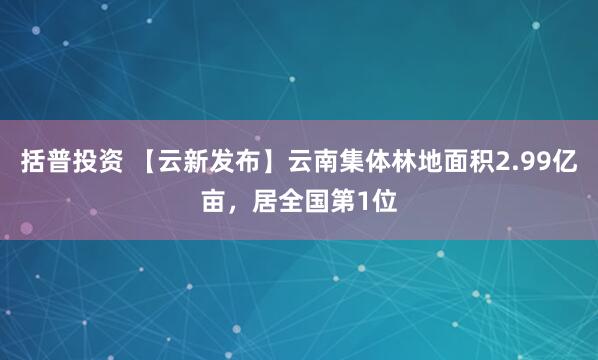 括普投资 【云新发布】云南集体林地面积2.99亿亩,居全国第1位